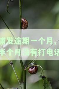 浦发信用卡逾期一个月，可以协商还款吗？