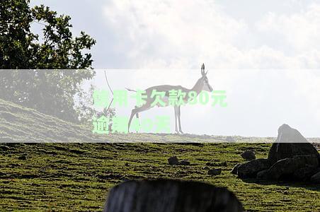信用卡40元逾期20天：影响及解决方法