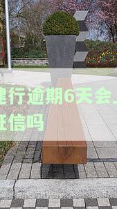 建行卡逾期6天，临时额度能否继续使用？已还清欠款，为何额度恢复但无法刷卡？