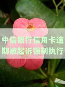 中信银行信用卡逾期被起诉强制执行怎么办？详细流程及解决方法