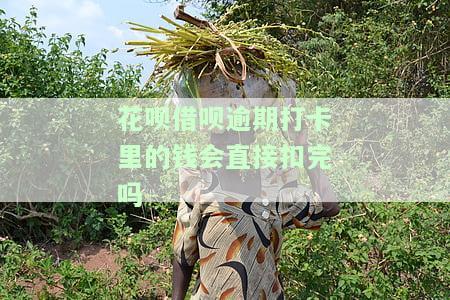 花呗借呗有逾期，钱进银行卡会秒扣吗？解决方案是什么？