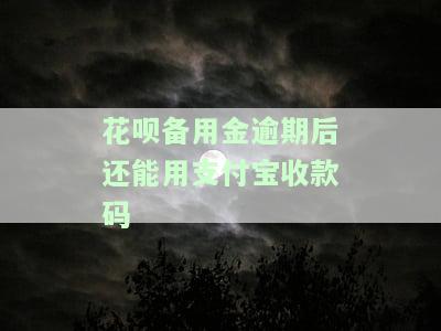 花呗逾期、备用金逾期：还上备用金能否恢复使用？