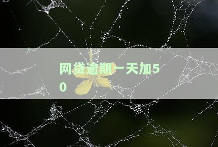网贷逾期一天加50块钱是否违法？该如何处理每日加费情况？
