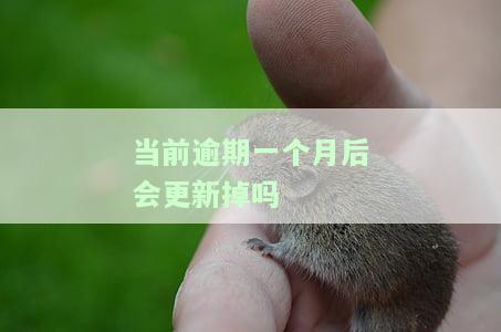 逾期一个月内有影响吗？答案在这里！
