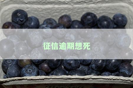 征信逾期了不还：严重后果及应对措