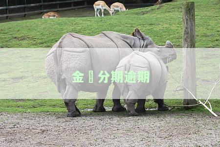 金瀛分期逾期影响：是否会上征信？如何下载？