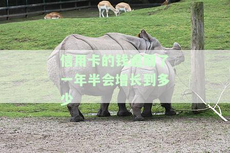 欠信用卡9000逾期1年半了，是否会起诉或坐牢？