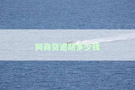网商贷逾期多少钱会上征信？后果有多严重？已还2000多，逾期多少天会被起诉？