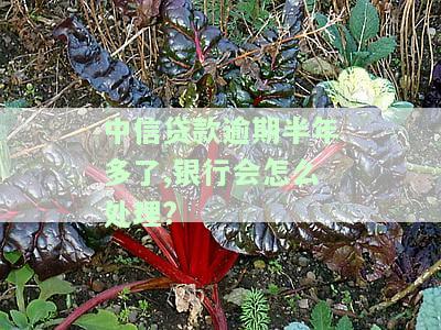 中信银行贷款逾期多久会影响信用？逾期多长时间会上征信？逾期后如何处理？银行何时会联系本人？