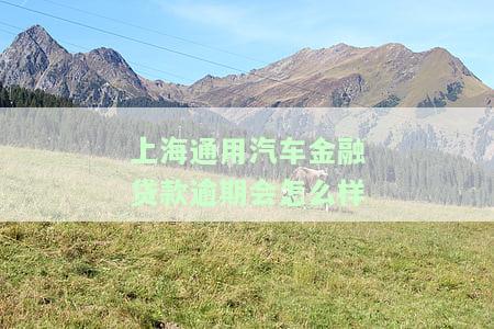 上汽通用汽车金融车贷逾期违约金及影响全解析