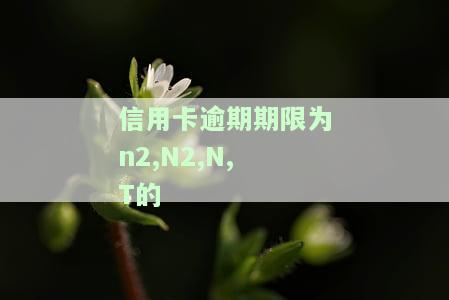 逾期1到90天含九十天信用卡账户的各欠款及其可能影响