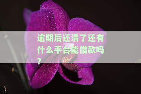 逾期后还清了，还有哪些平台能借款？——知乎用户的经验分享