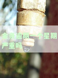 金条逾期一个星期严重吗？会影响信用记录吗？逾期多久可以恢复使用？