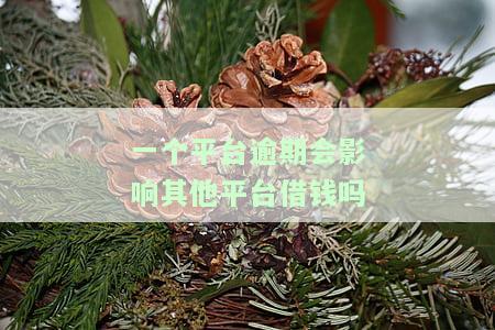 一个平台逾期是否会影响其他平台借款？知乎探讨相关问题