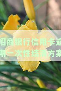 招商银行信用卡逾期一次性结清方案如何撰写？包括只还本金的可行性及应对措。
