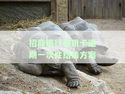 招商银行逾期一次性结清只还本金可行吗？需注意安全问题
