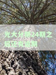 光大分期逾期一天怕不怕？花逾期、银行逾期怎么办？分期能免息吗？逾期一年可分期还款吗？