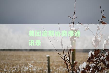 美团逾期协商爆通讯录会怎样？了解解决方案与可能影响