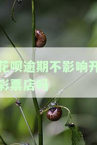 花呗逾期不能使用是否会影响办理信用卡？全网解析