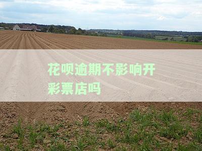 花呗逾期会影响办信用卡吗？答案解析及风险提示