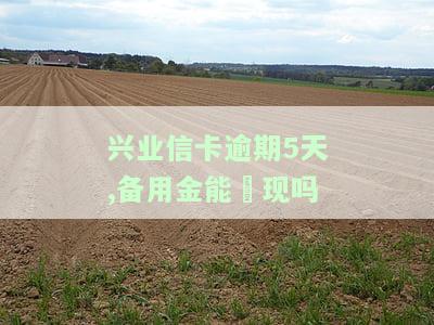 兴业银行逾期后还完款卡能否继续使用？逾期还款后仍有额度可用吗？如果卡片被停用，如何解决？