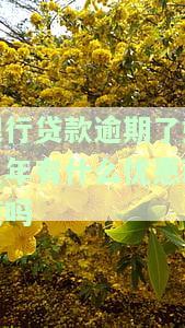 银行贷款逾期多年，是否有优政策？如何处理逾期问题？