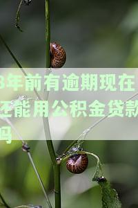 前四年有逾期，现在能否申请住房公积金贷款？逾期记录对纯公积金贷款有何影响？