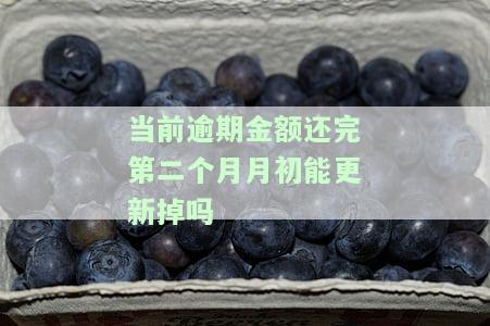 当前逾期还清后多久更新征信记录？