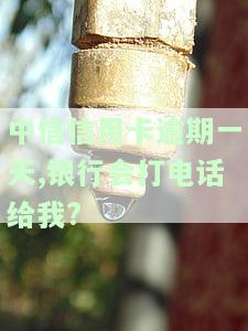 中信银行逾期几天会给持卡人打电话？逾期多久给紧急联系人发信息？逾期2天收到银行短信会影响征信吗？