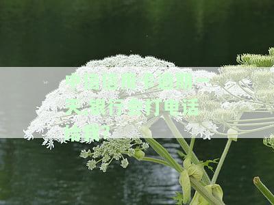 中信银行信用卡逾期一天会有不良记录吗？影响及解决办法