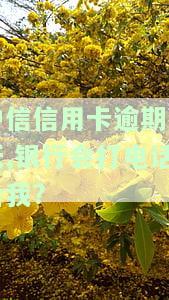 中信信用卡逾期一天：还款影响、罚息及信用后果全解析