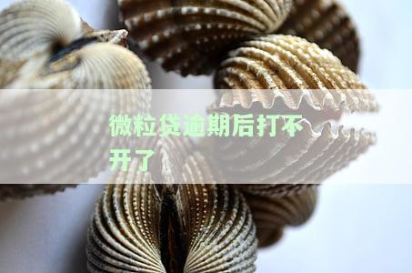 微粒贷逾期后无法借款：影响、恢复时间及解决办法全解析