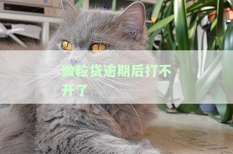 微粒贷逾期过还完无法通过审核，如何解决？