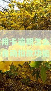 信用卡逾期怎么取消自动扣款功能？全攻略！