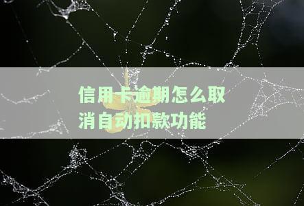 逾期的信用卡如何还款？步骤详解让你正常使用