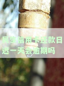 民生银行信用卡还款日：查询、宽限及逾期规则