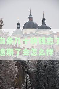 白条几十块钱忘还款？还了会怎样？影响征信吗？