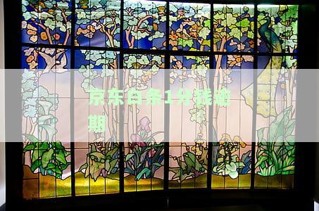 京东白条1分钱逾期