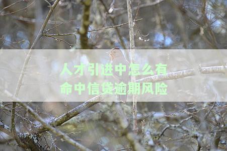 人才引进已受理，等待初审时间及审核进度查询