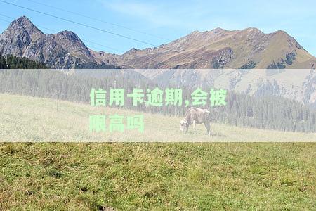 逾期了信用卡会降额吗？影响及解决办法全解析