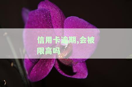 2021年信用卡逾期被起诉的风险及应对措