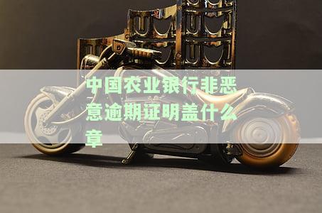 中国农业银行非恶意逾期证明盖什么章