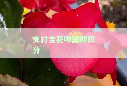 支付宝花呗逾期每天扣款金额及利息、手续费全知道