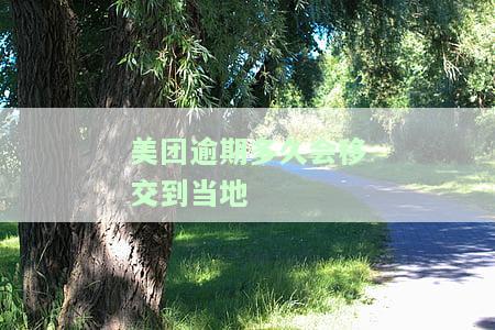 美团逾期几天会有什么后果？有奖问答真的吗？解决办法是什么？逾期多久的你现在情况如何？
