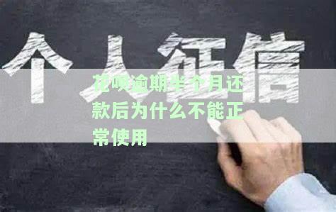 花呗逾期半个月还完款能否继续使用？影响征信吗？