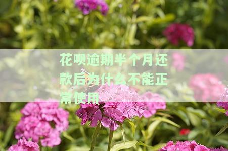 花呗逾期半个月还款后为什么不能正常使用-花呗逾期半个月还款后为什么不能正常使用了