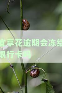 宜享花逾期会冻结银行卡吗-宜享花存在逾期额度冻结