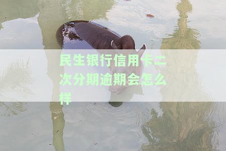 民生银行逾期两个月能否协商分期还款？已还部分能分期吗？