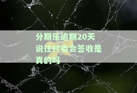 分期乐明天到村委会处理问题，是否会让村委会上门服务？