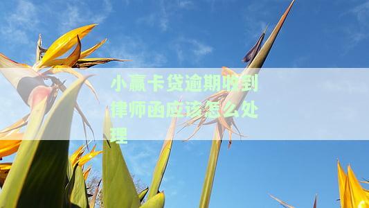 小赢卡贷逾期收到律师函是否会被起诉？真实情况解析